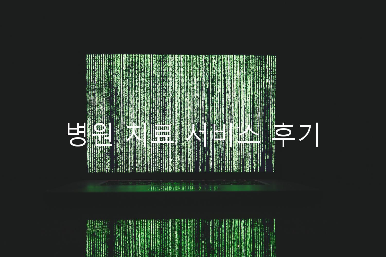 병원 치료 서비스 후기