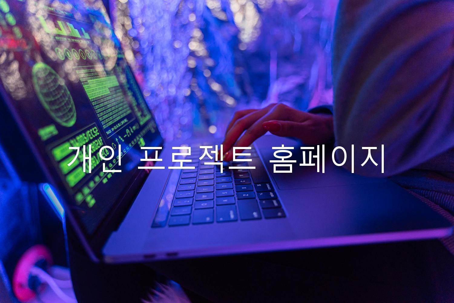 개인 프로젝트 홈페이지