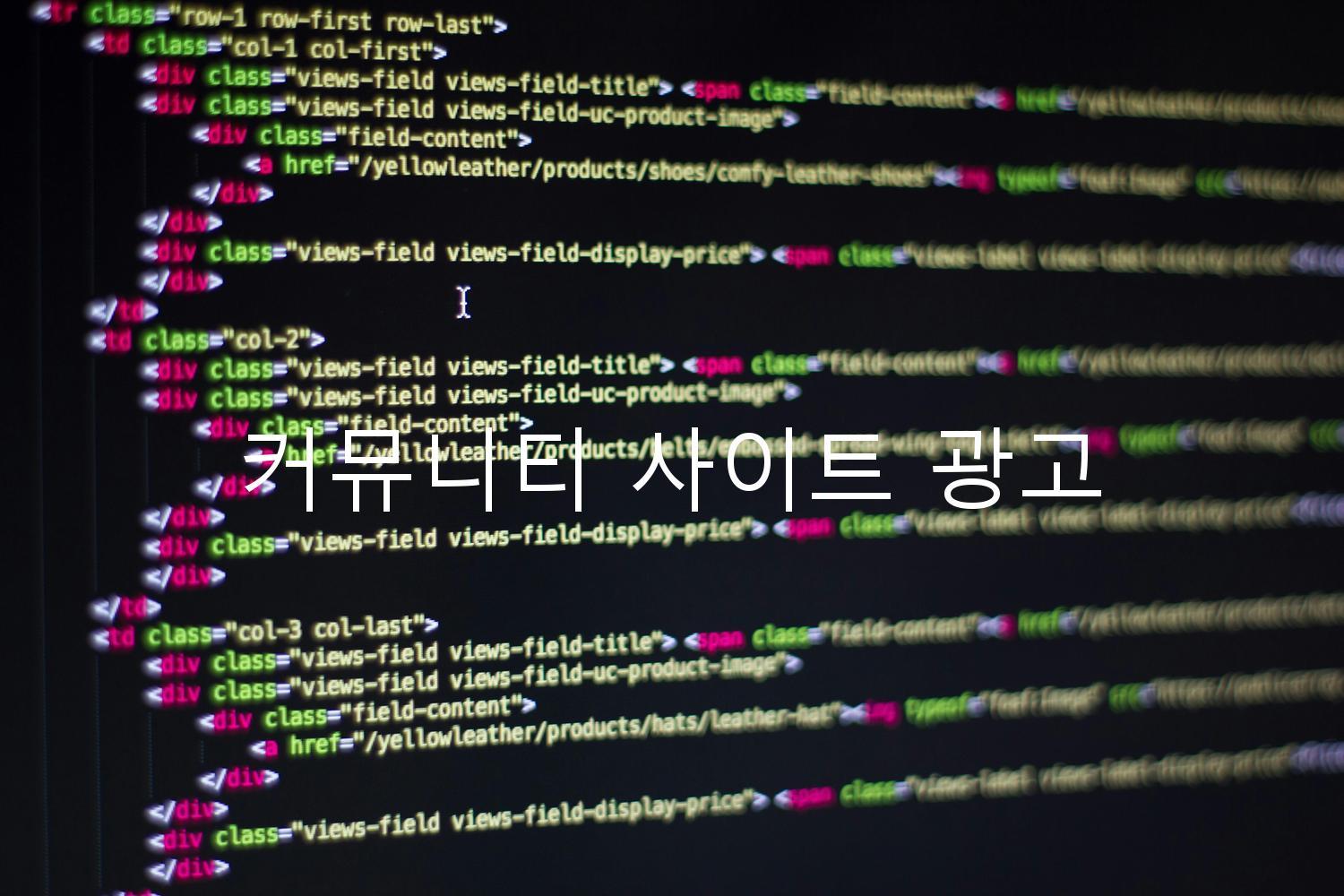 커뮤니티 사이트 광고