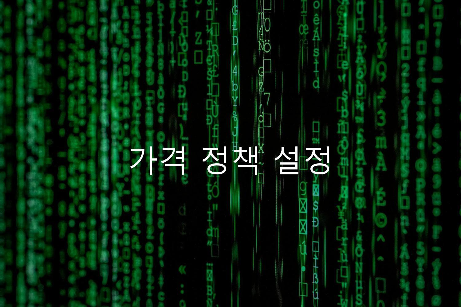 가격 정책 설정