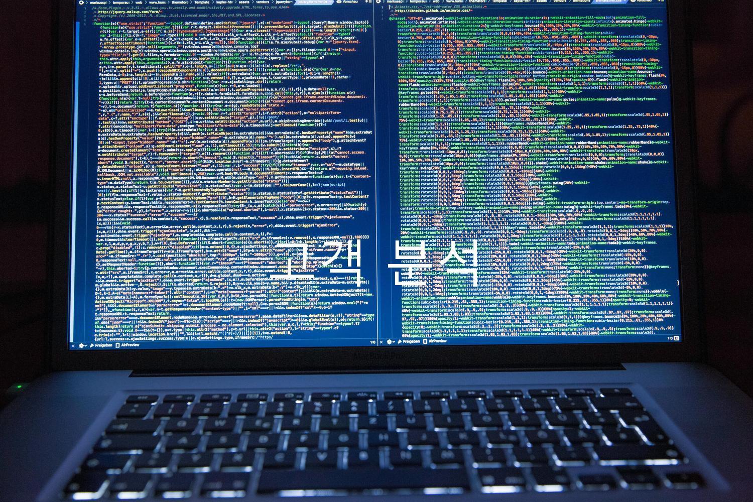 고객 분석
