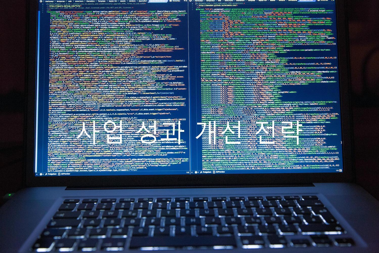 사업 성과 개선 전략