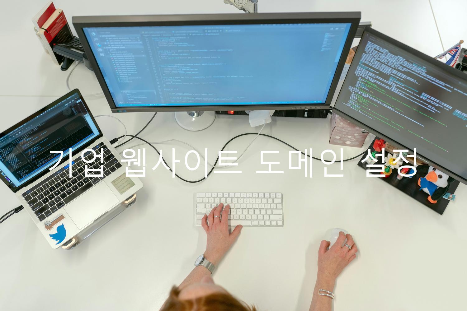 기업 웹사이트 도메인 설정