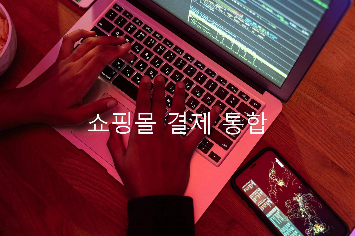 쇼핑몰 결제 통합