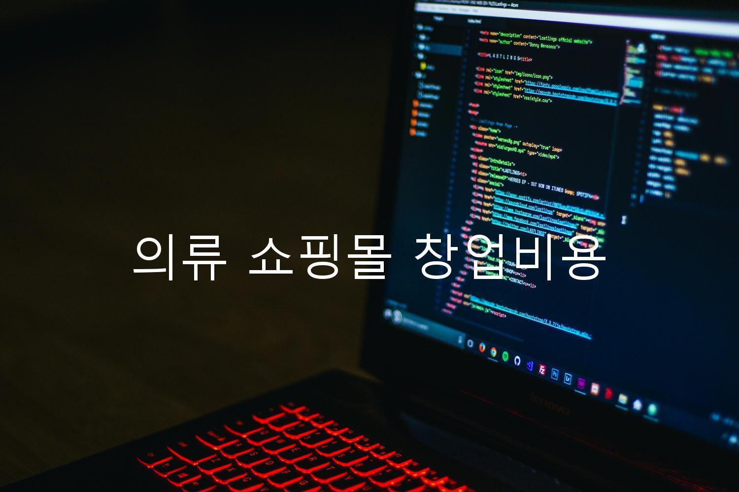 의류 쇼핑몰 창업비용