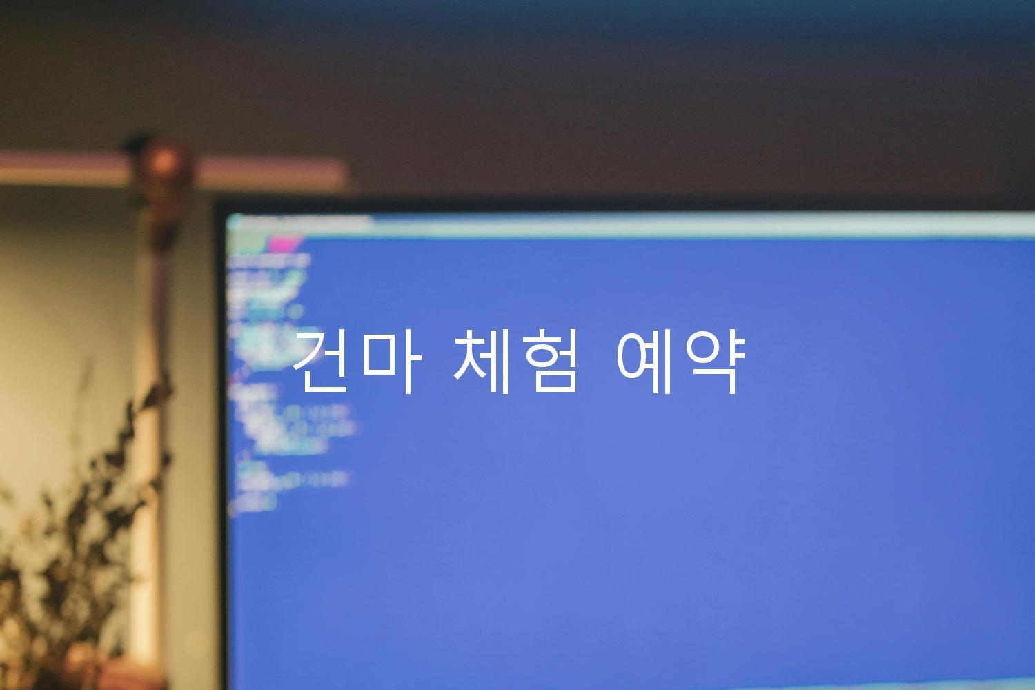 건마 체험 예약