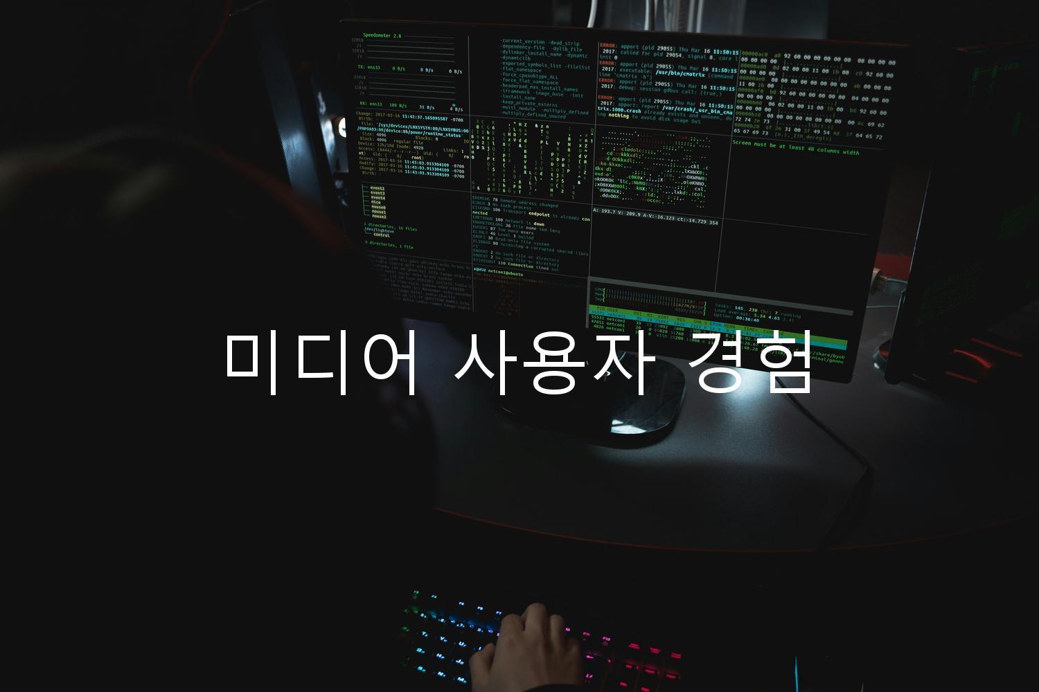 미디어 사용자 경험