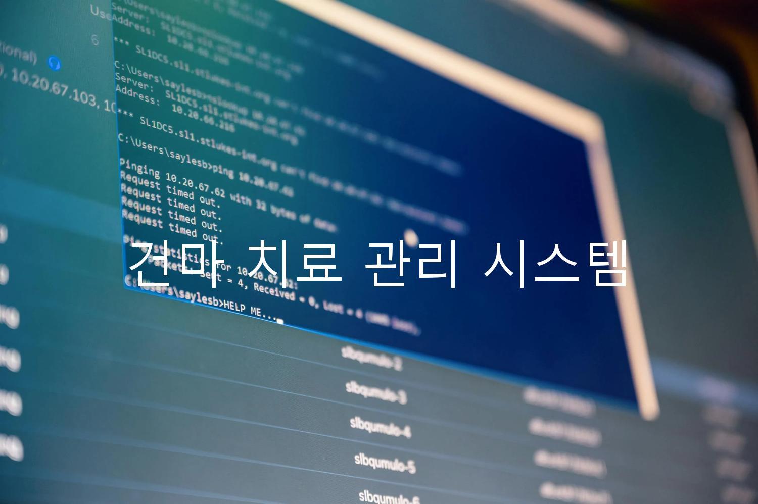 건마 치료 관리 시스템