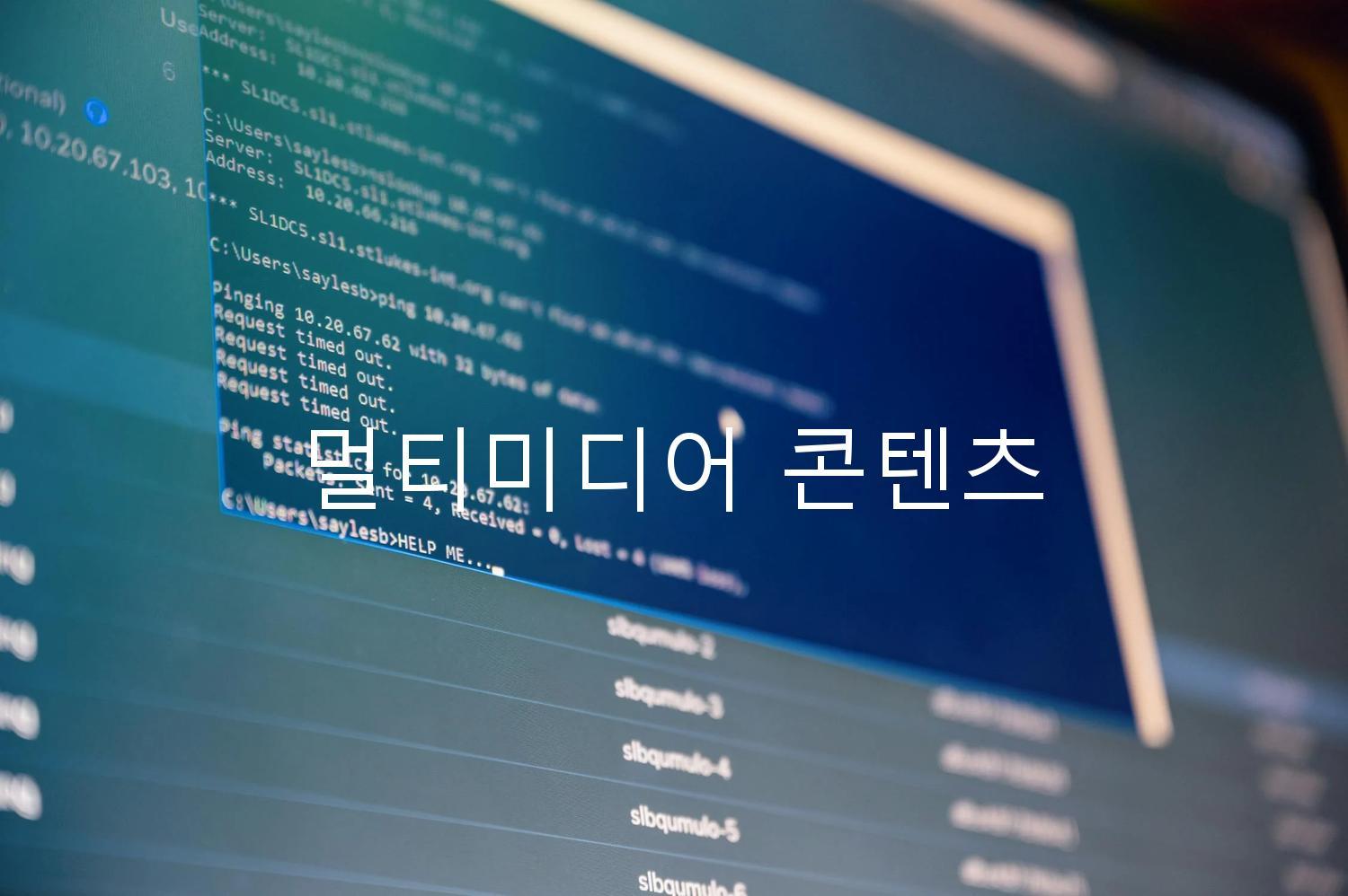 멀티미디어 콘텐츠