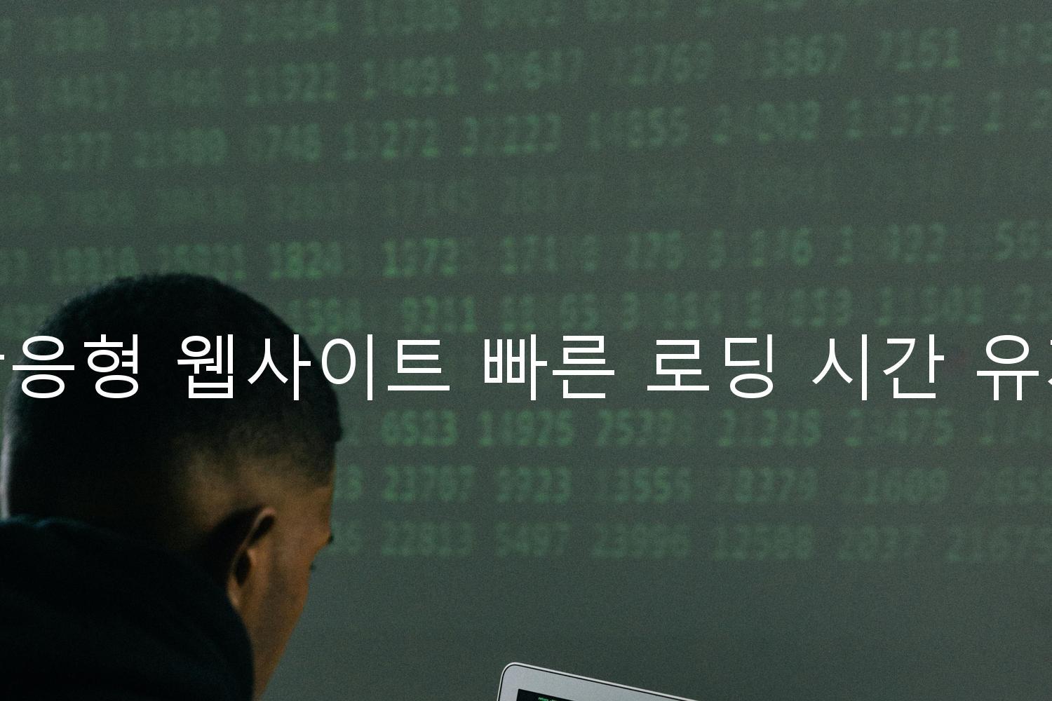 반응형 웹사이트 빠른 로딩 시간 유지