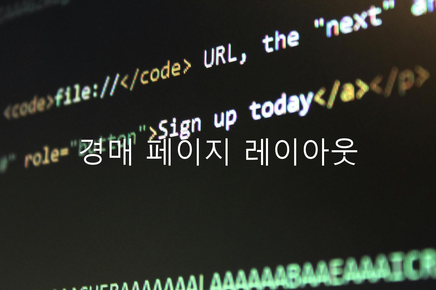 경매 페이지 레이아웃