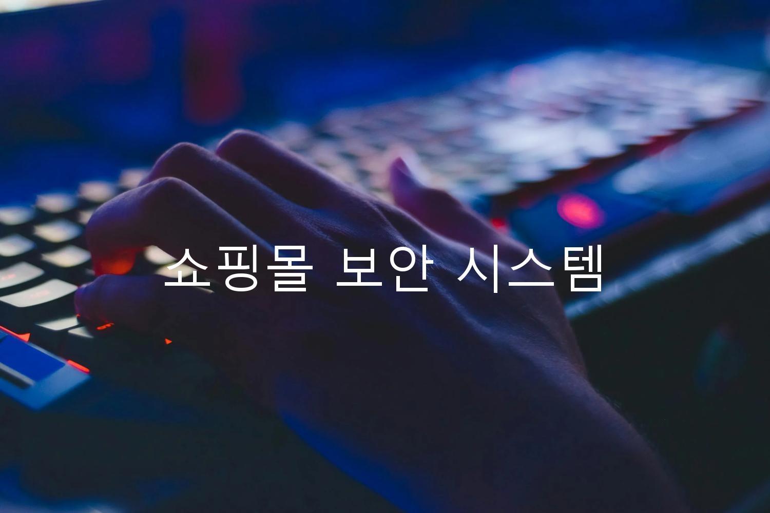 쇼핑몰 보안 시스템