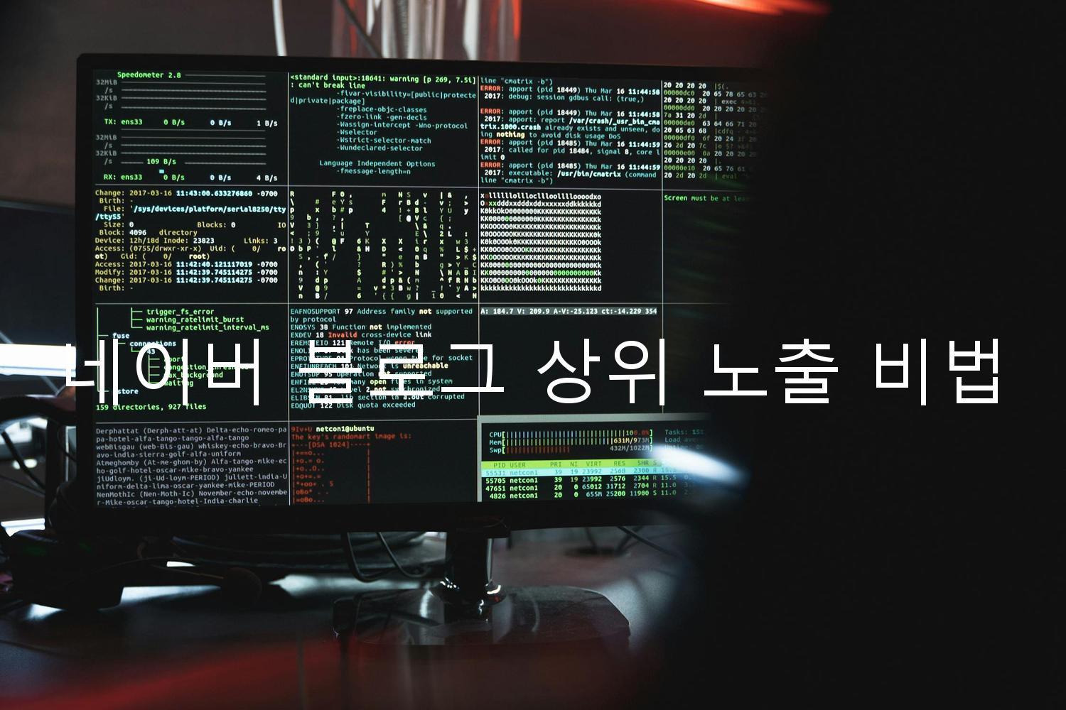 네이버 블로그 상위 노출 비법