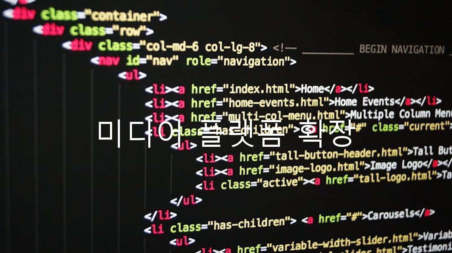 미디어 플랫폼 확장