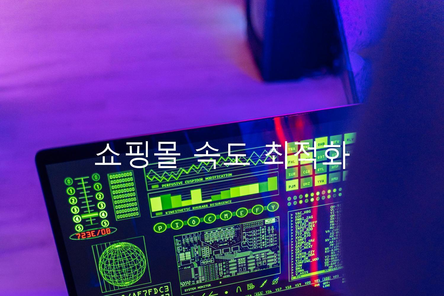 쇼핑몰 속도 최적화