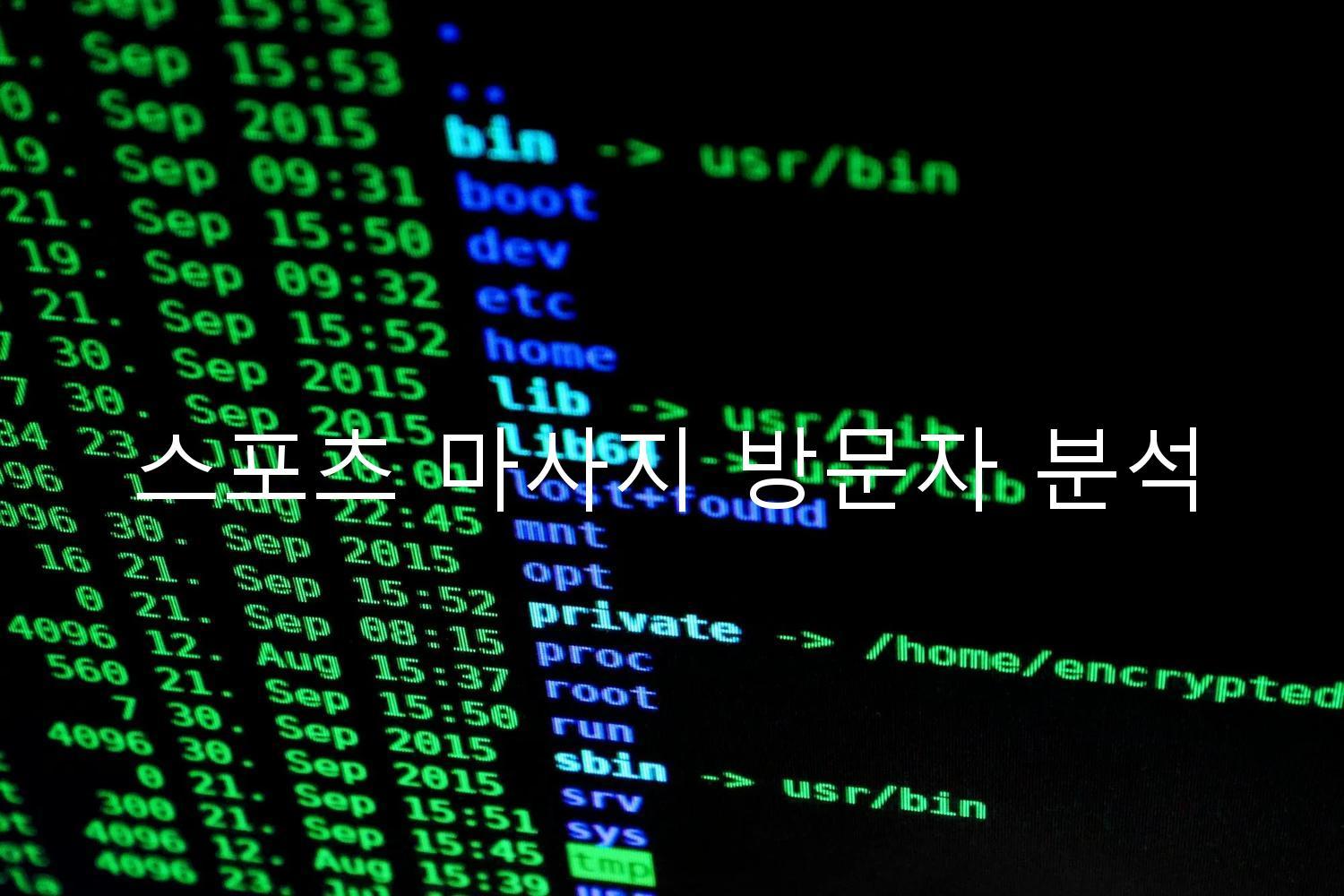 스포츠 마사지 방문자 분석