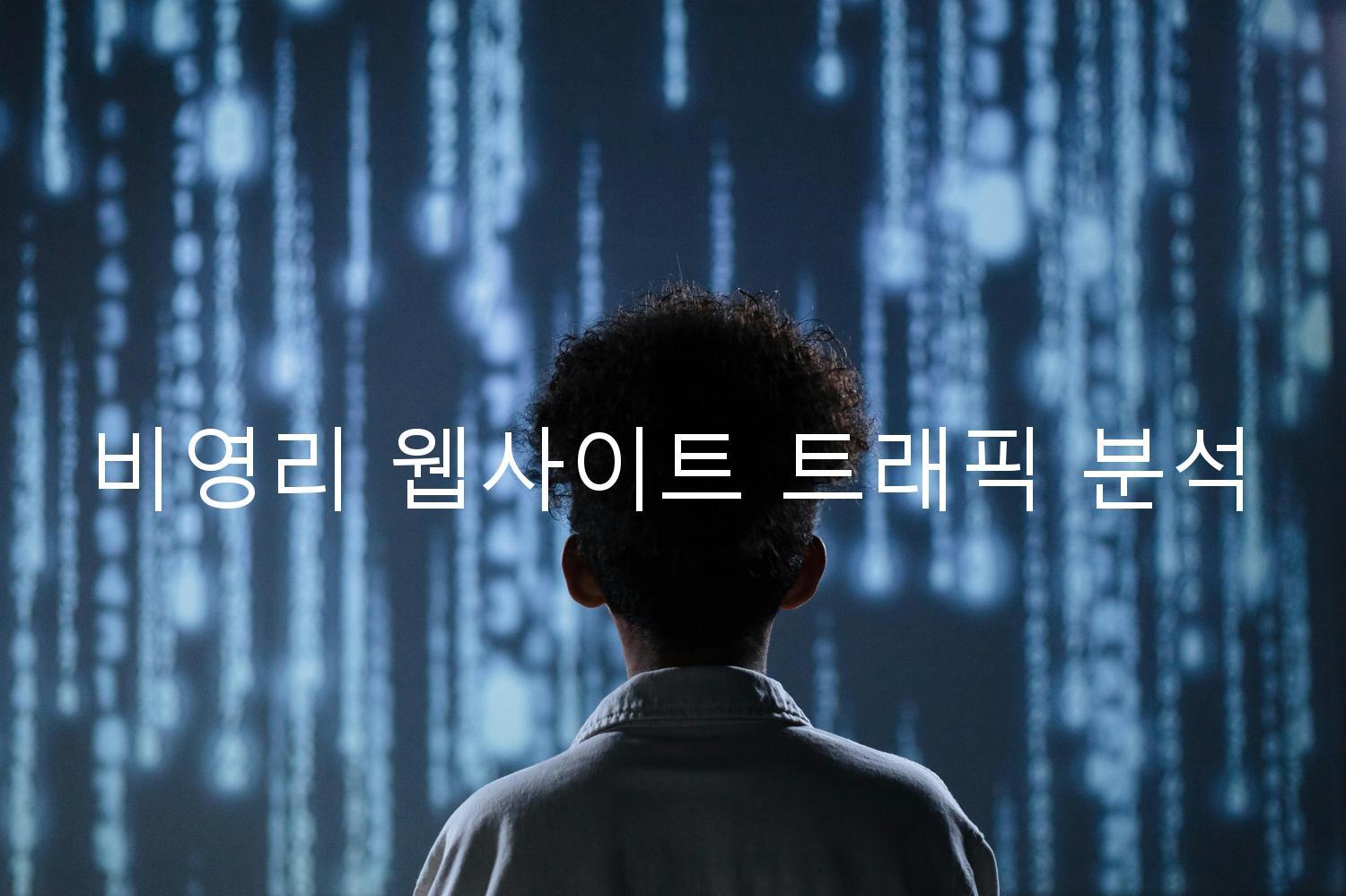 비영리 웹사이트 트래픽 분석