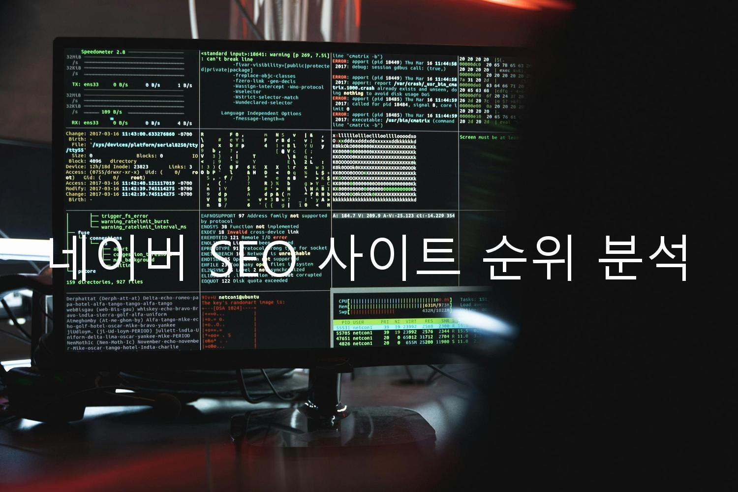 네이버 SEO 사이트 순위 분석