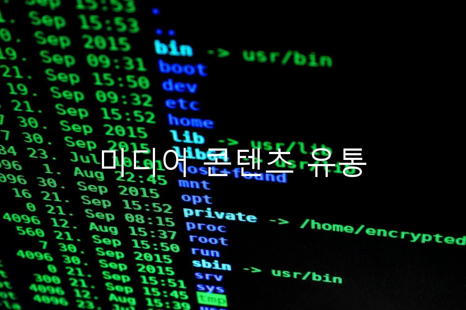 미디어 콘텐츠 유통