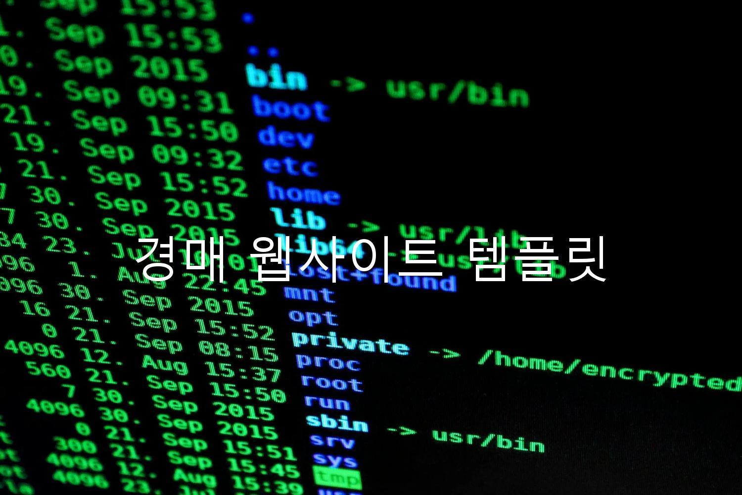경매 웹사이트 템플릿