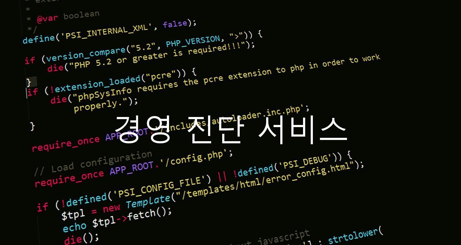 경영 진단 서비스