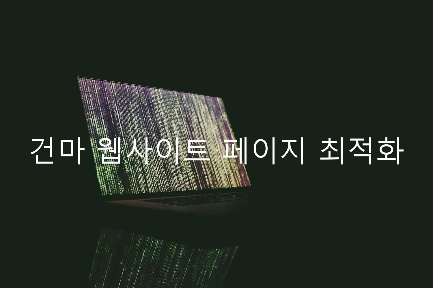 건마 웹사이트 페이지 최적화