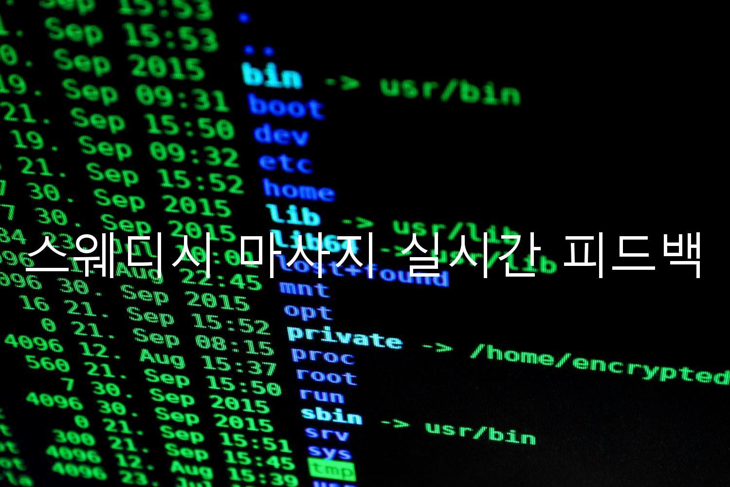 스웨디시 마사지 실시간 피드백