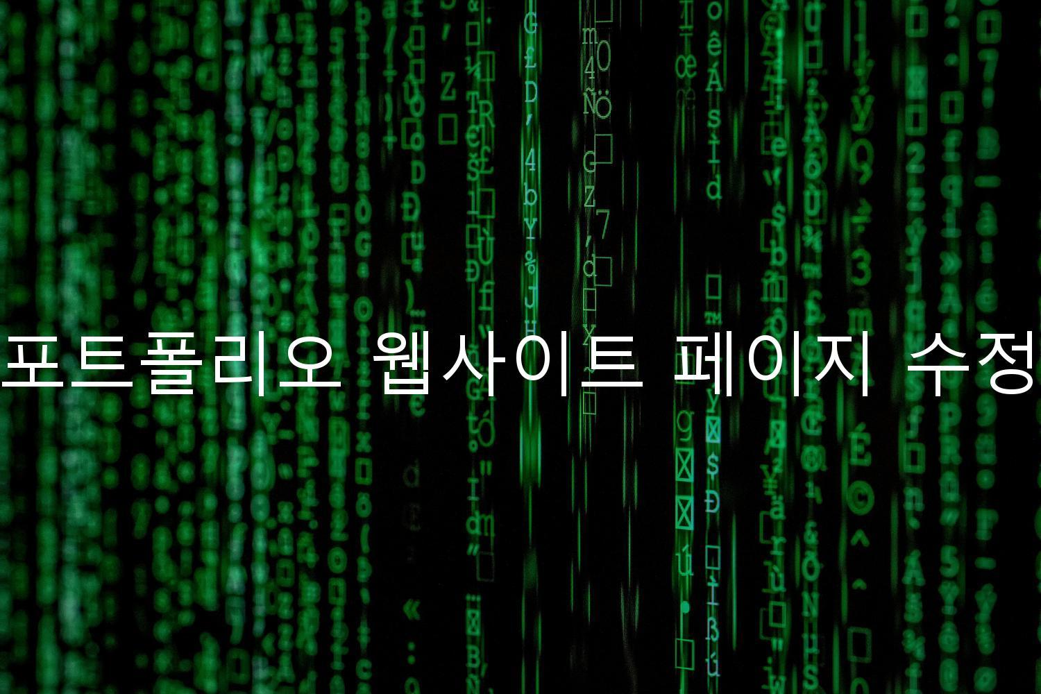 포트폴리오 웹사이트 페이지 수정
