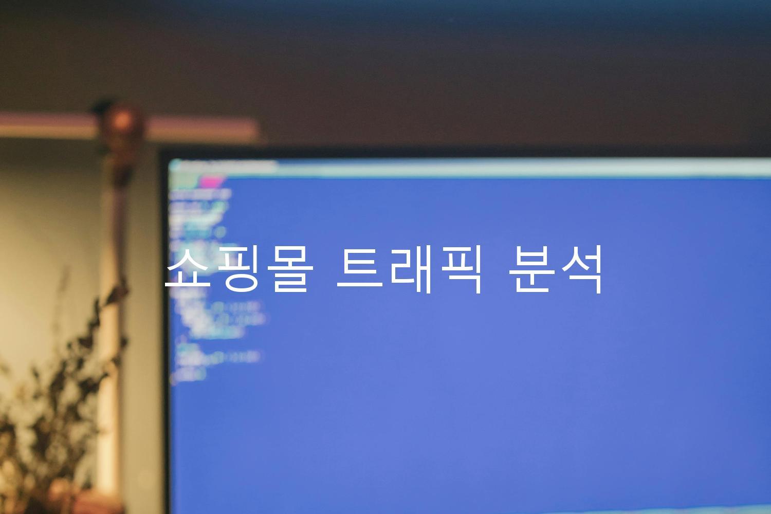 쇼핑몰 트래픽 분석