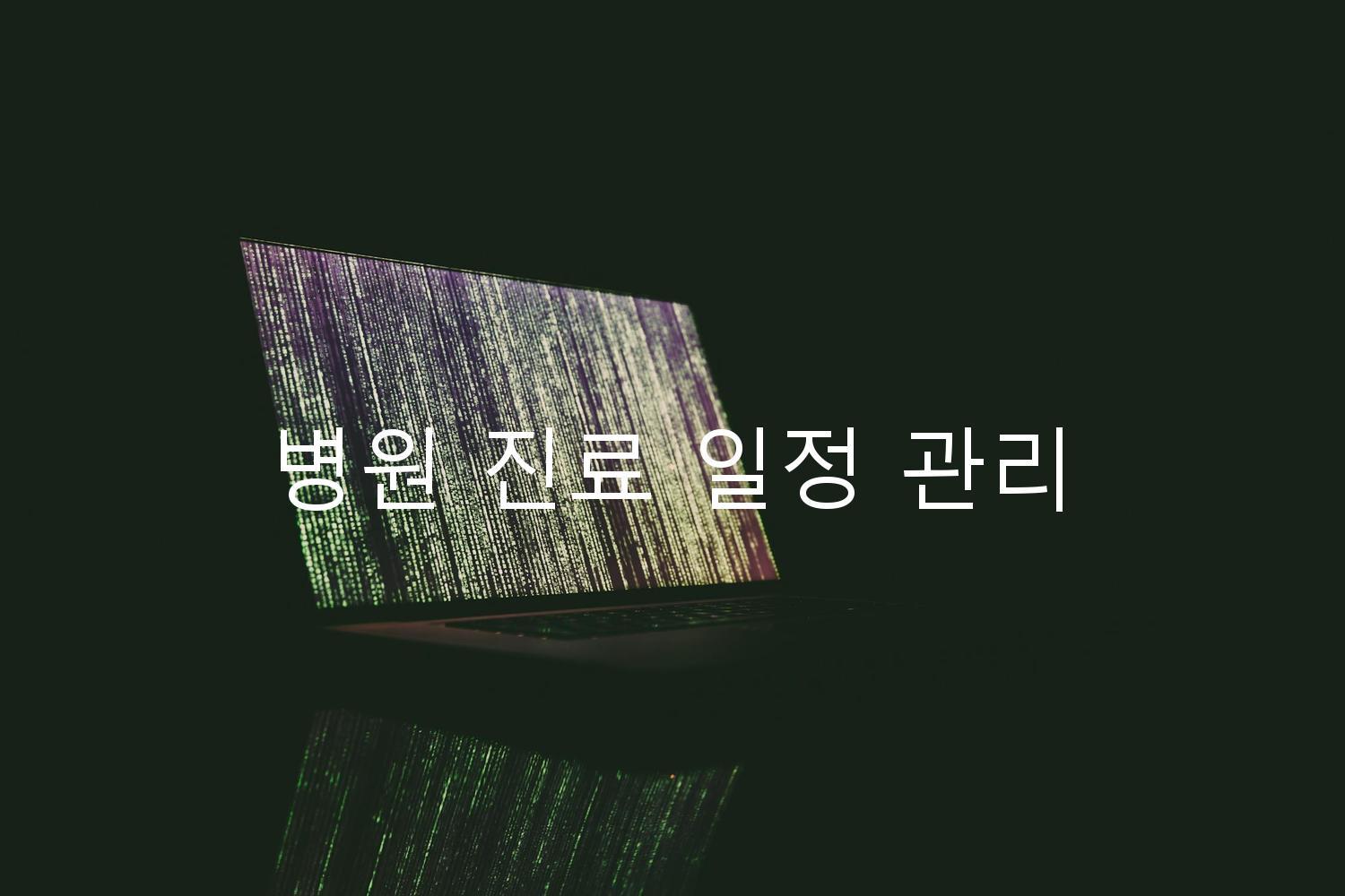 병원 진료 일정 관리