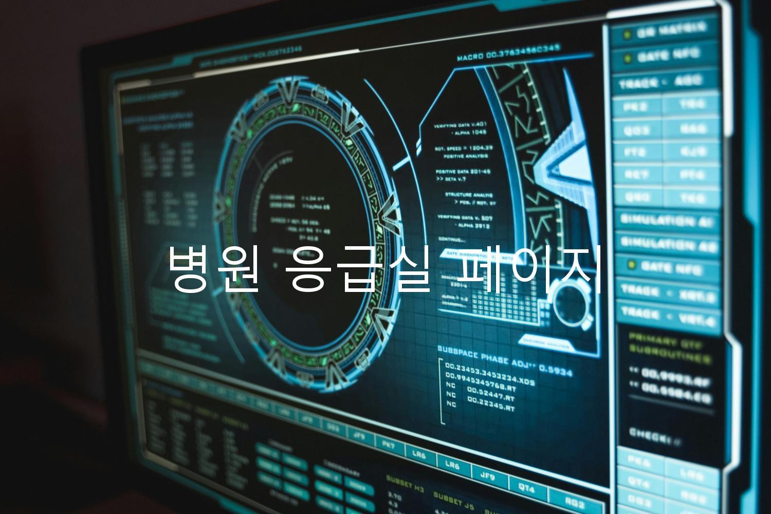 병원 응급실 페이지