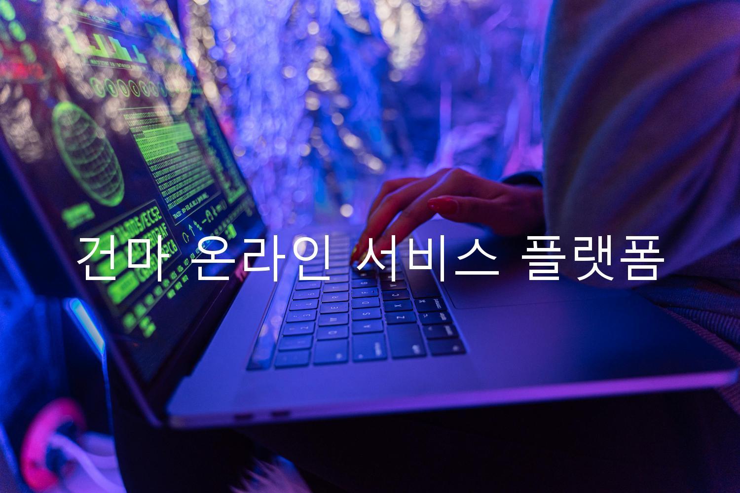 건마 온라인 서비스 플랫폼