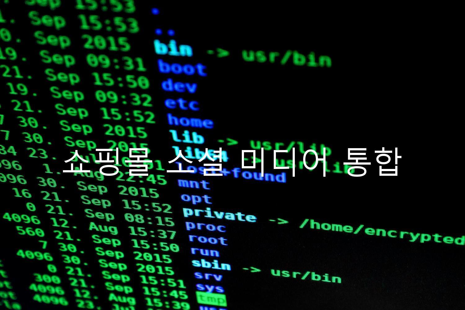 쇼핑몰 소셜 미디어 통합