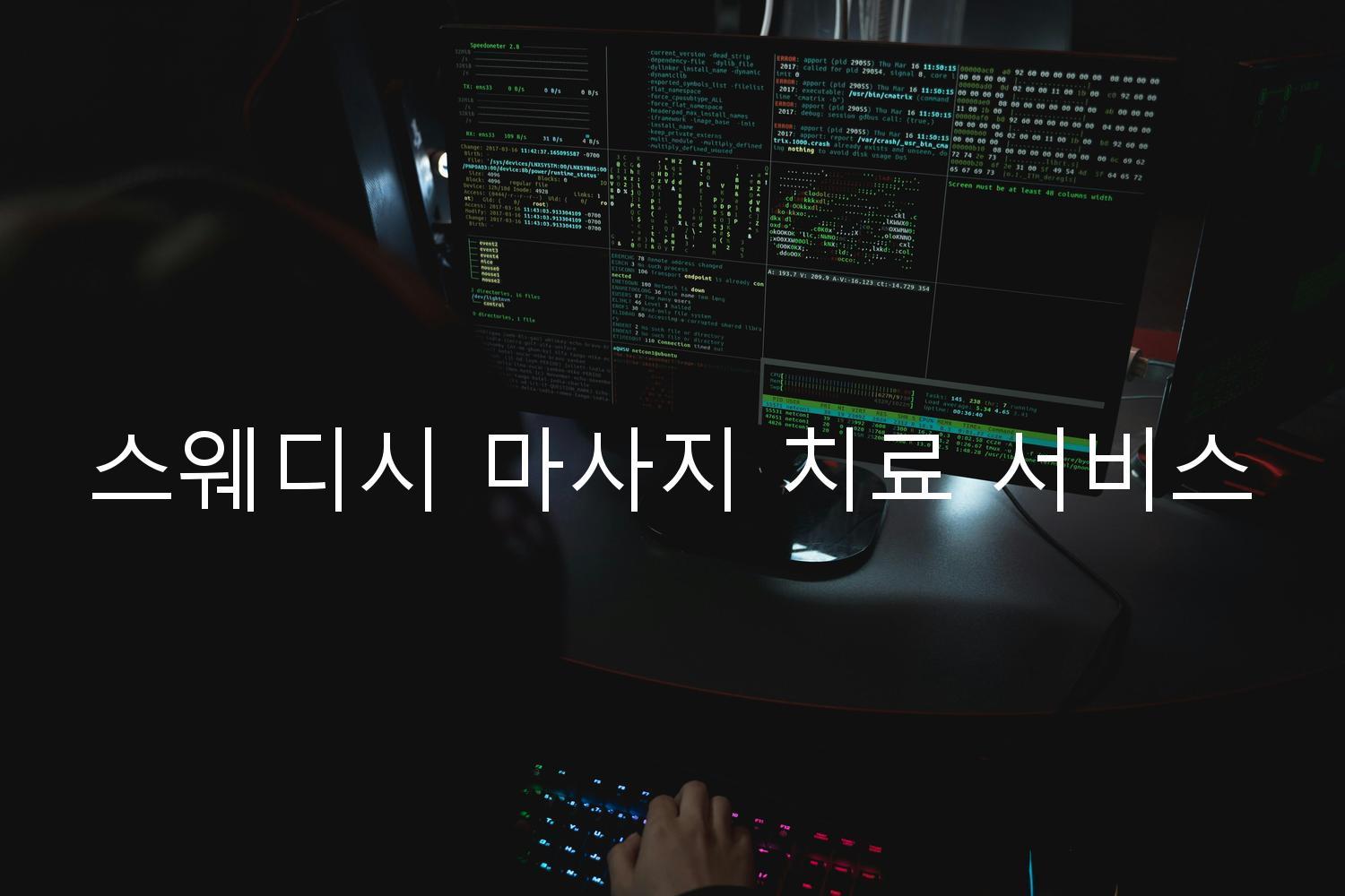스웨디시 마사지 치료 서비스