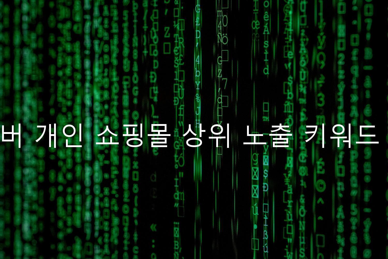 네이버 개인 쇼핑몰 상위 노출 키워드 분석