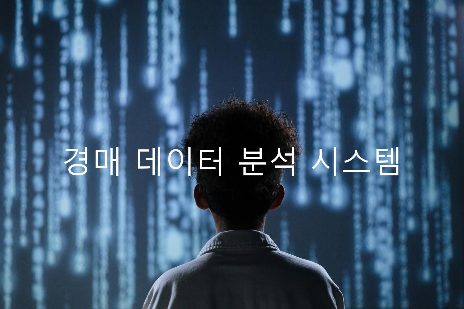 경매 데이터 분석 시스템