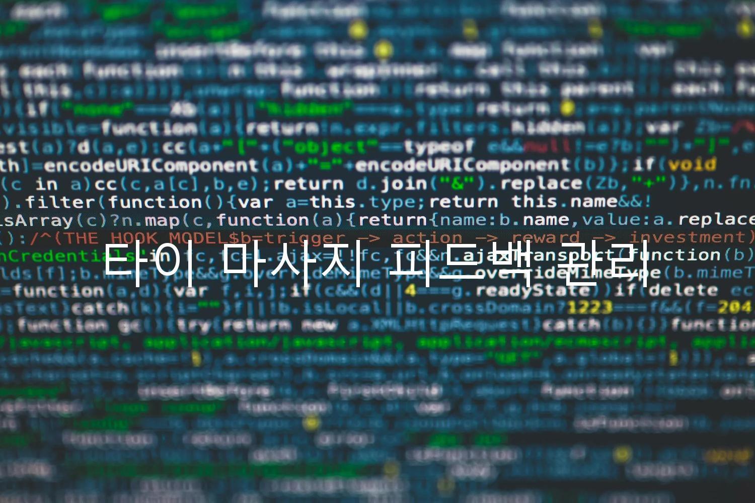 타이 마사지 피드백 관리