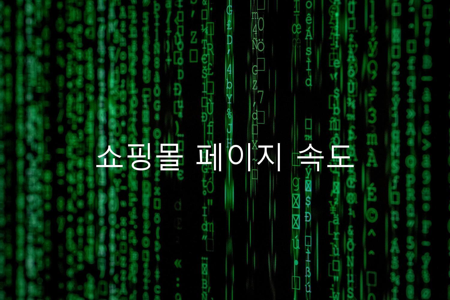 쇼핑몰 페이지 속도