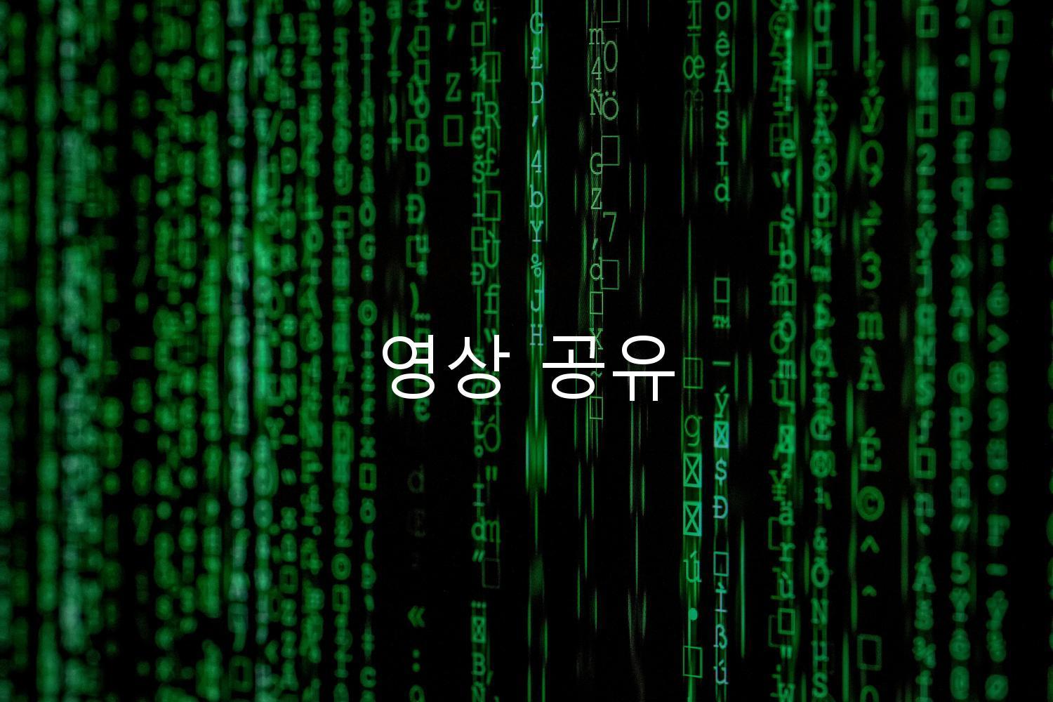 영상 공유