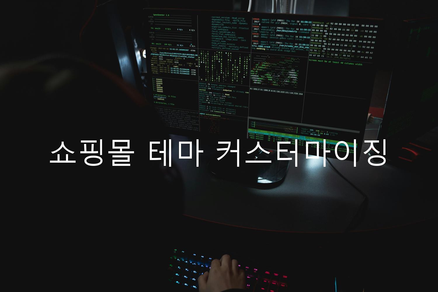 쇼핑몰 테마 커스터마이징