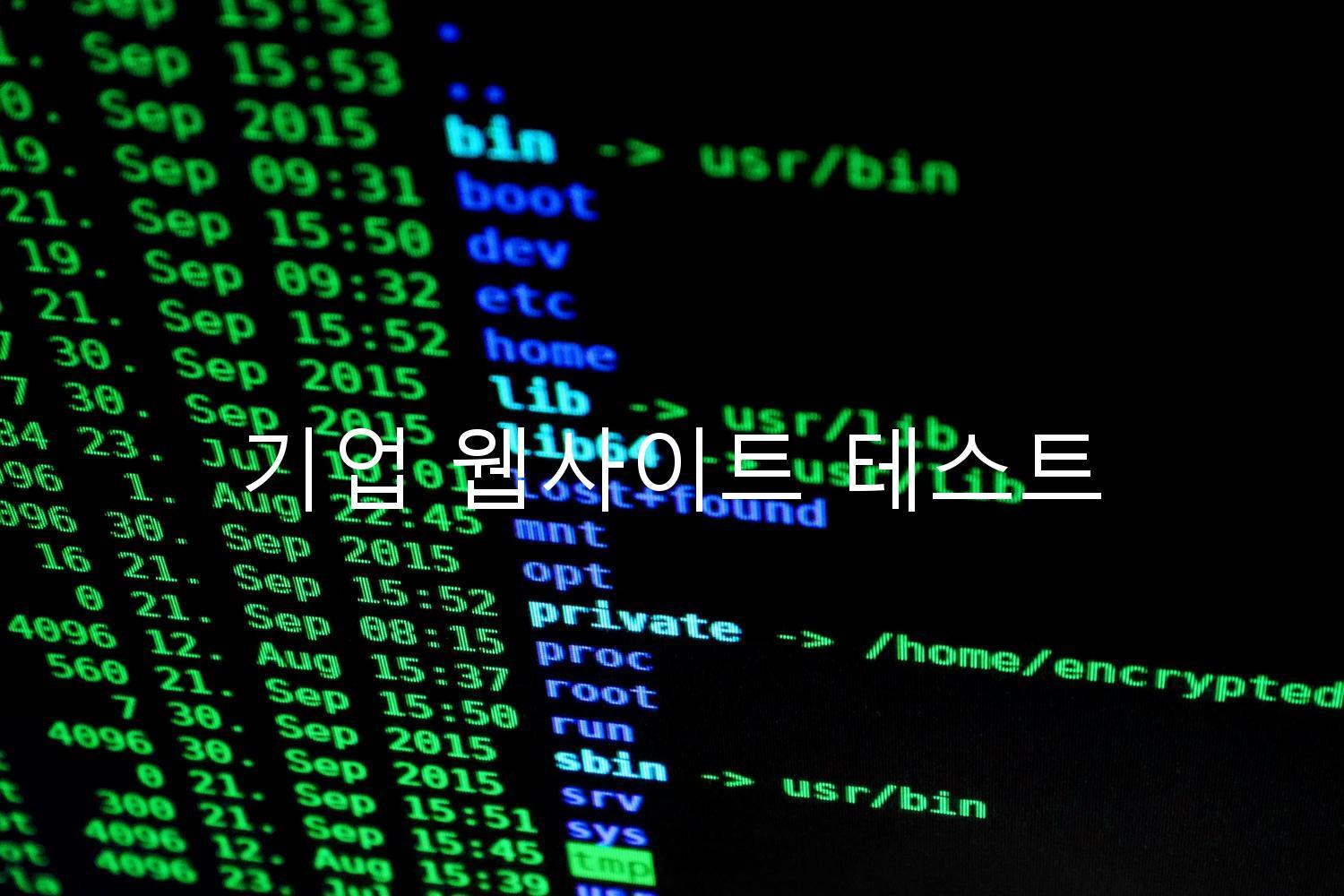 기업 웹사이트 테스트