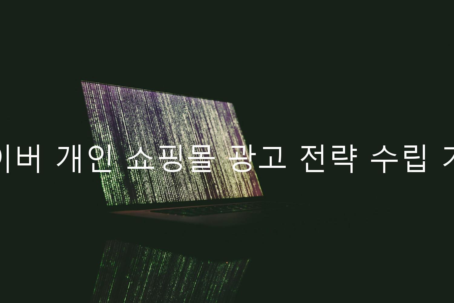 네이버 개인 쇼핑몰 광고 전략 수립 기법