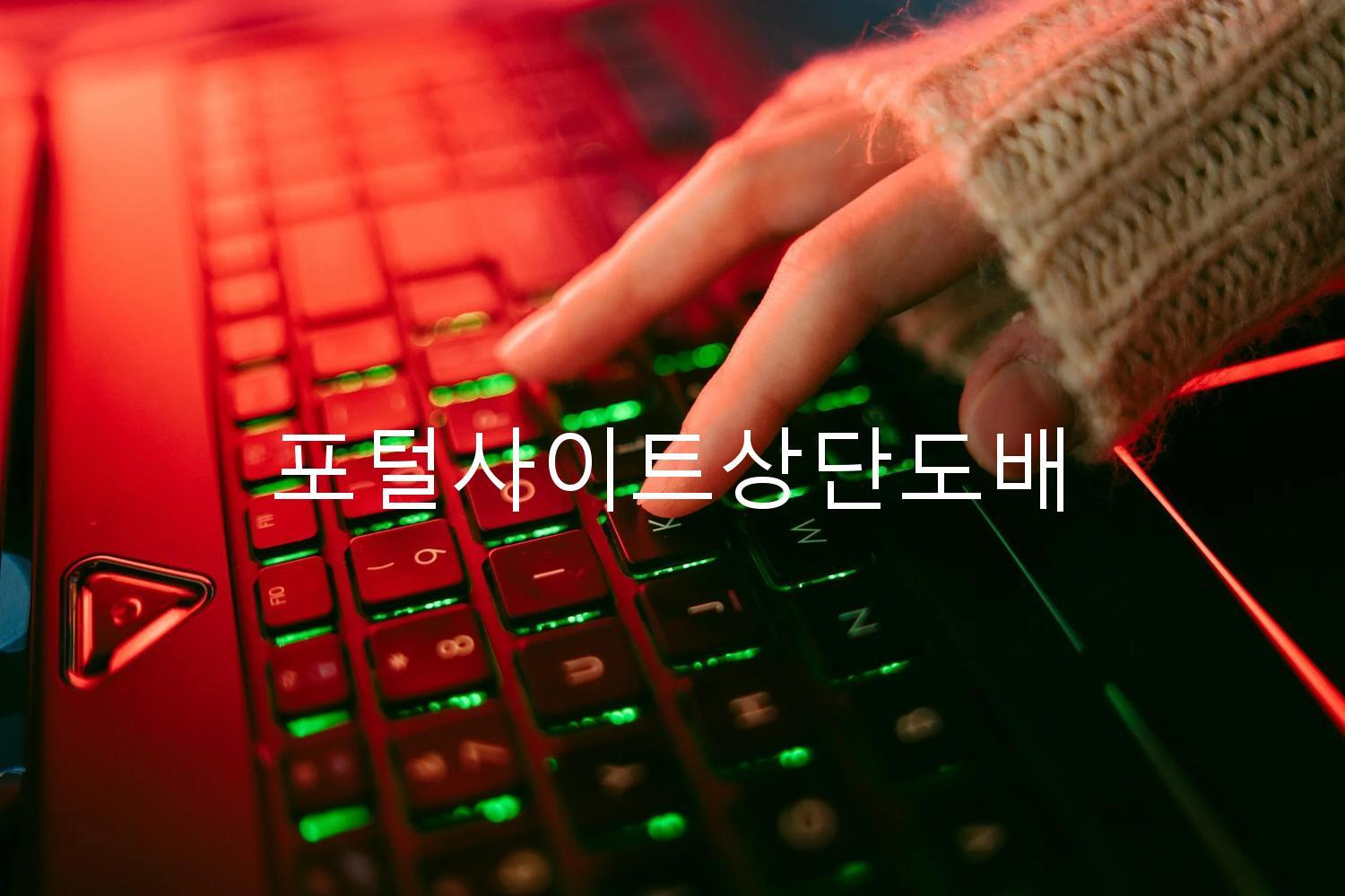 포털사이트상단도배