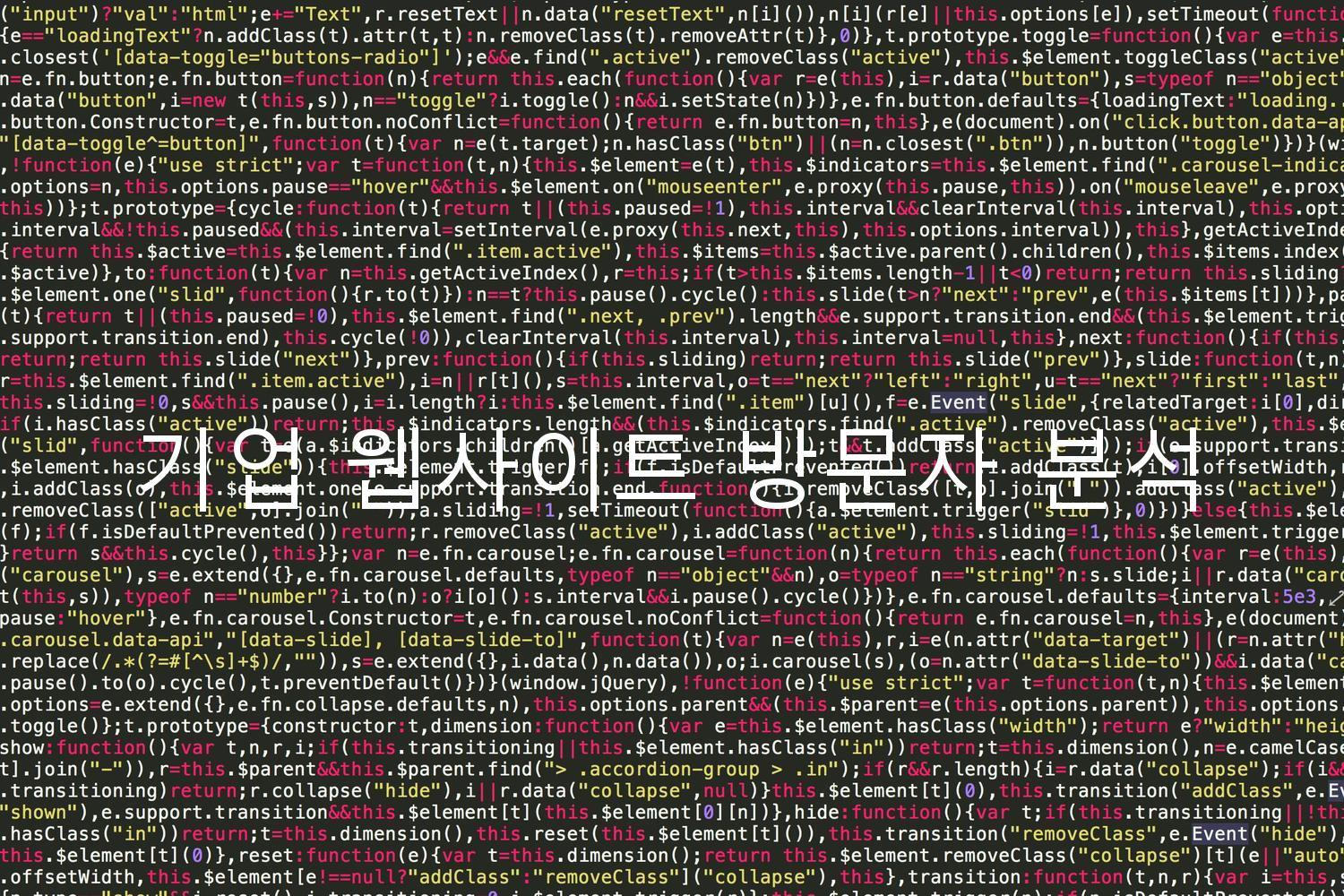 기업 웹사이트 방문자 분석