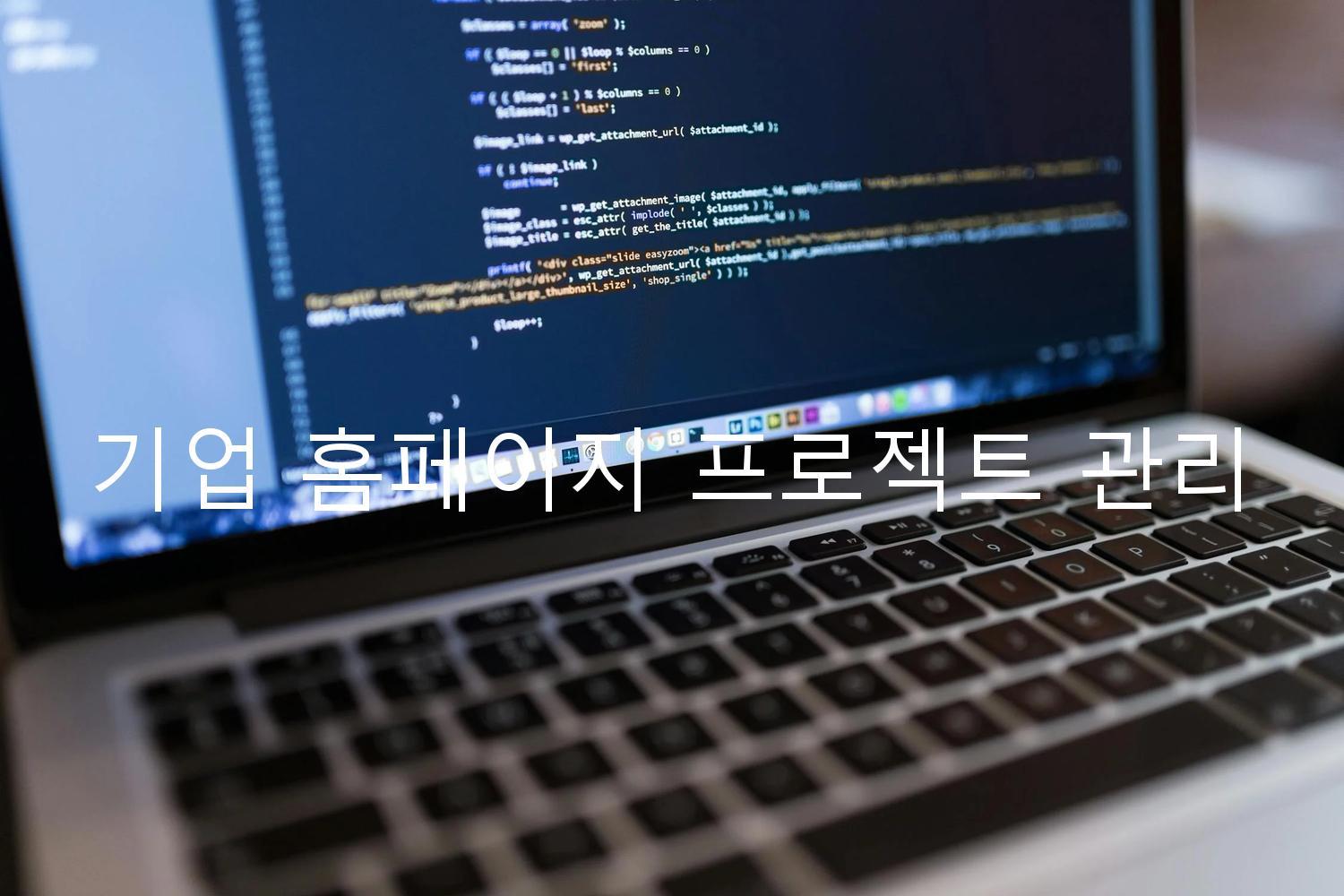 기업 홈페이지 프로젝트 관리