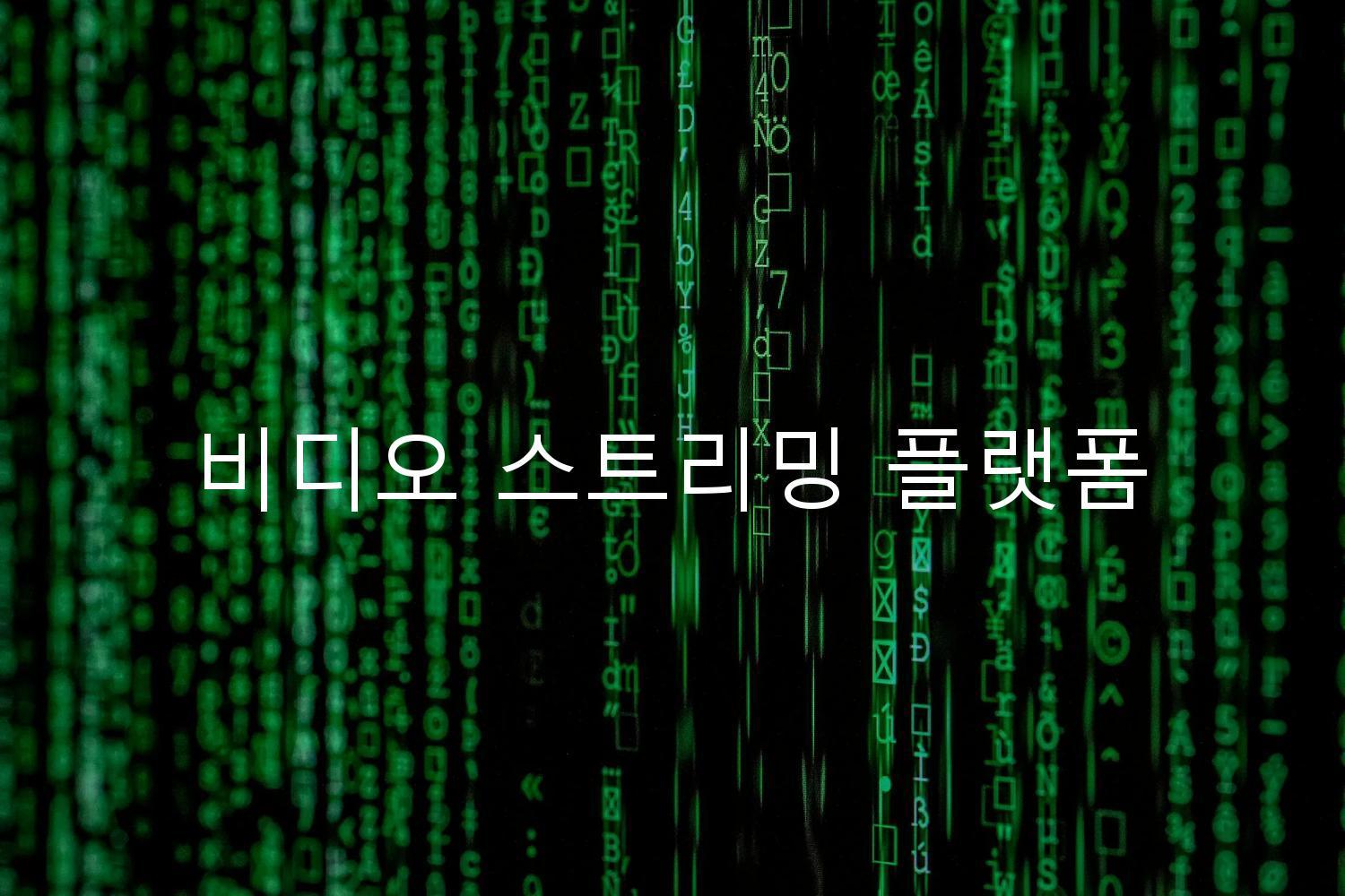 비디오 스트리밍 플랫폼