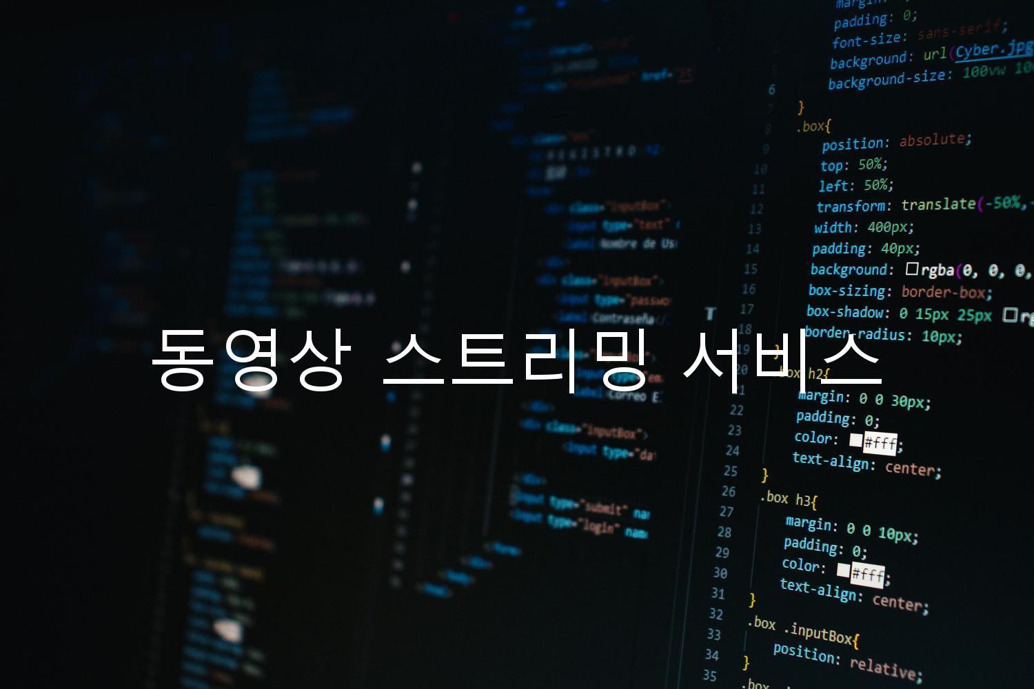 동영상 스트리밍 서비스